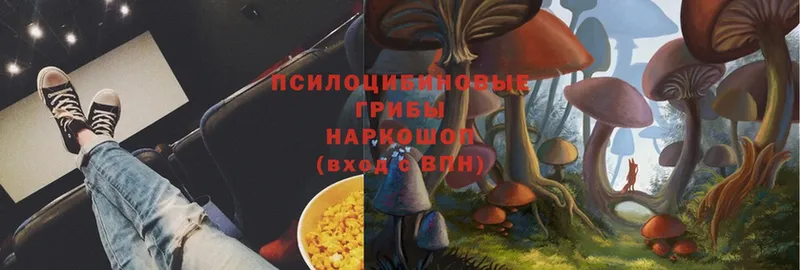 Галлюциногенные грибы Magic Shrooms  Топки 